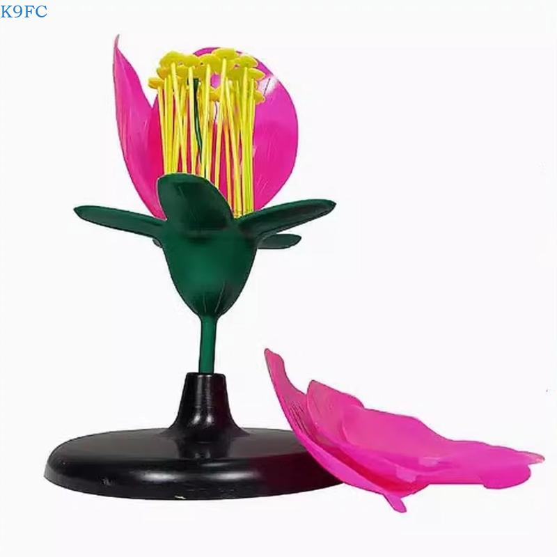 K9FC 科学展示用現実的な植物教育モデル中学校生物学デモン - Science Exhibition Models のレビューと価格