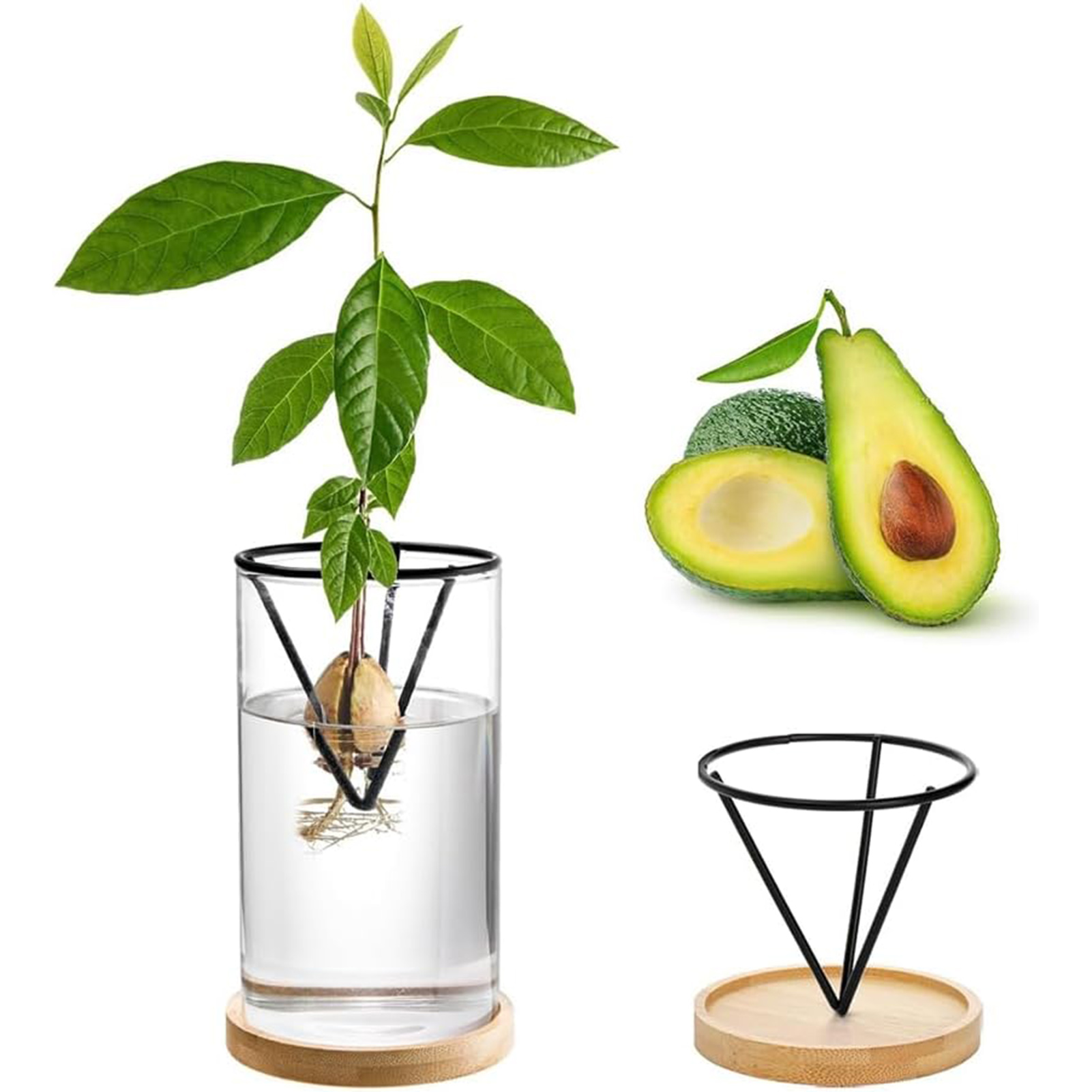 1 セットアボカドの木成長キット水耕ガラスアボカド種子花瓶三 - Crystal Growing Kit のレビューと価格