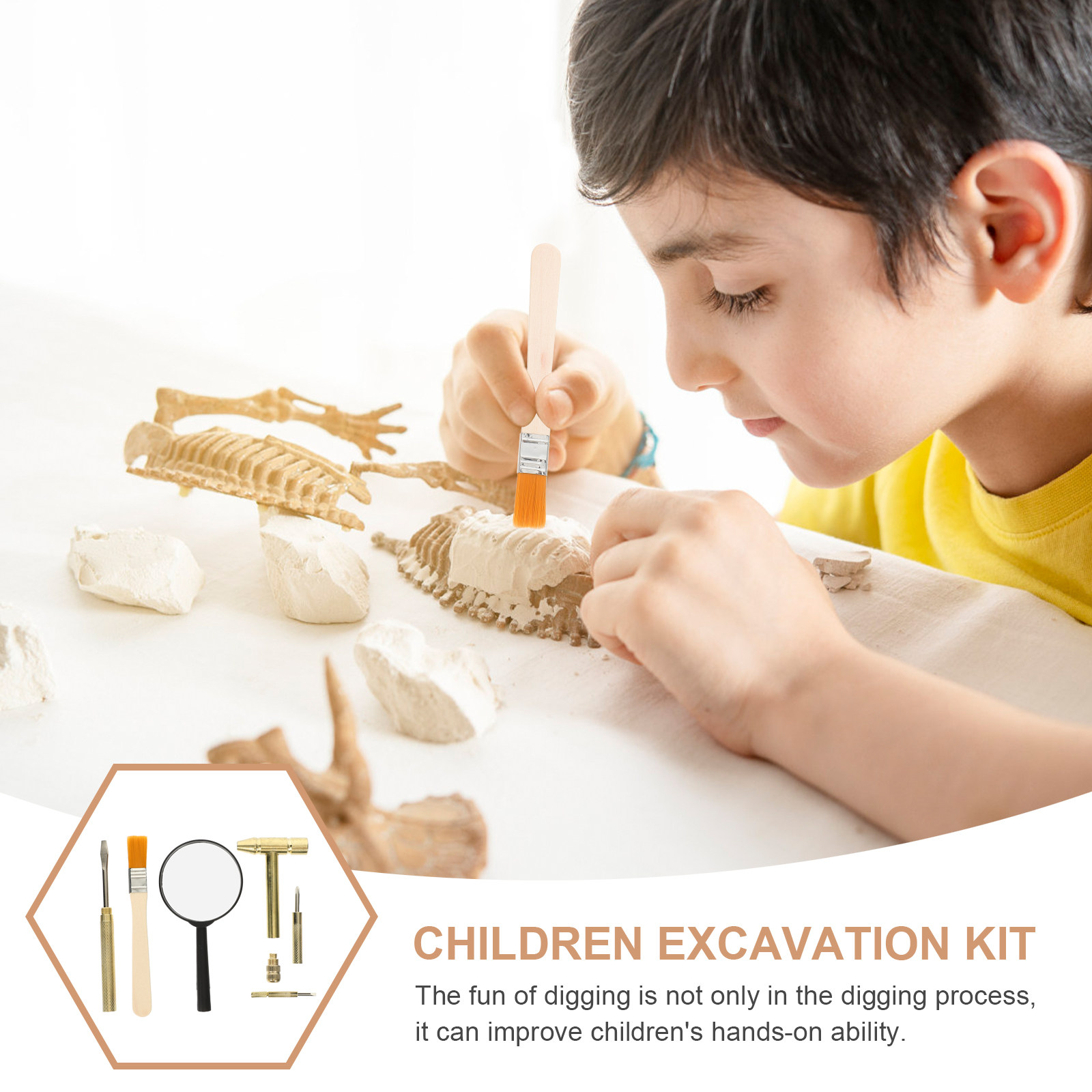 子供用発掘ツールセット 1セット 丈夫なABS金属製 木製掘 - Science Kit のレビューと価格